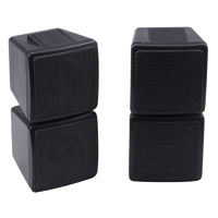 sateliet speakers 100_012