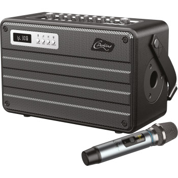 Elektrische gitaar met microfoon en versterker voor kinderen